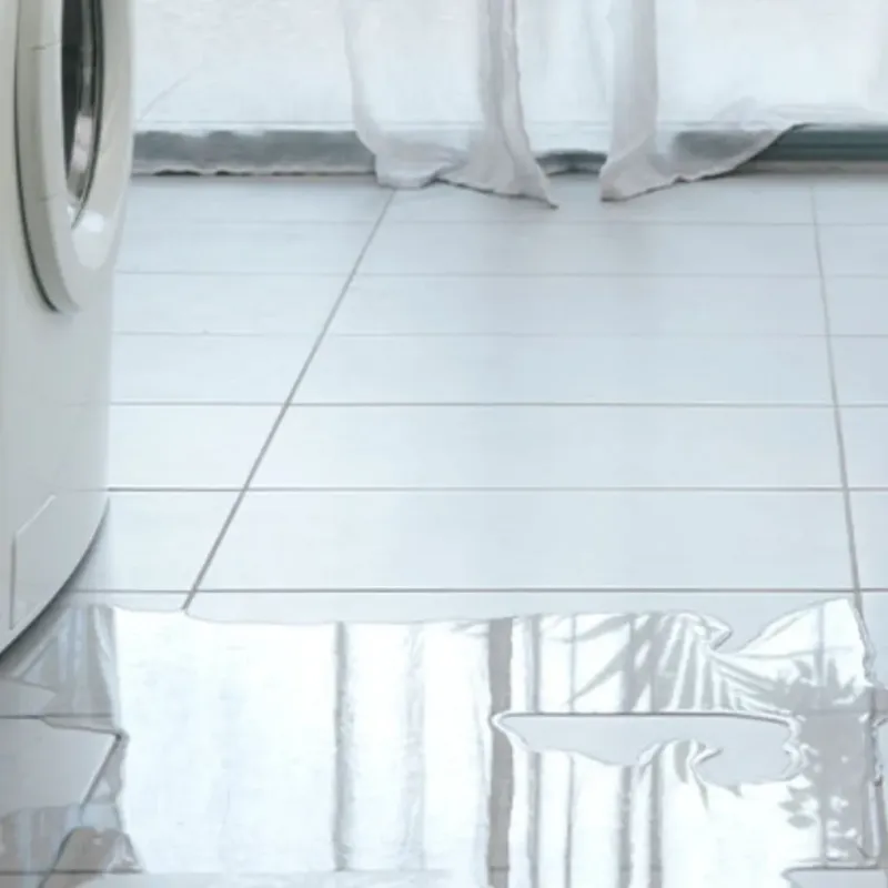 Appliance Leak Cleanup in Bastrop, LA