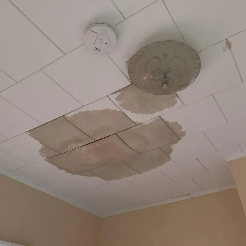 Ceiling Water Damage Repair in Bastrop, LA